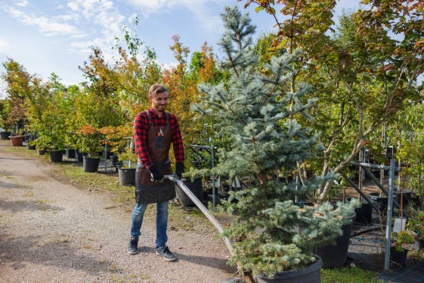 Landscape Design and Installation in Wells, MN